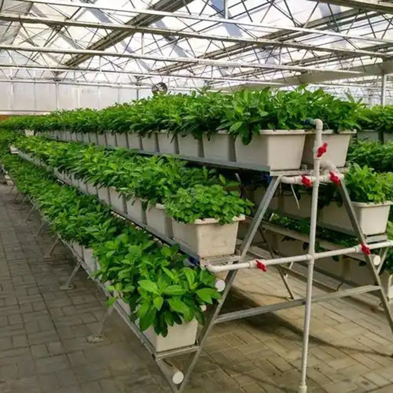 四平市植物工厂气雾培 - 排名