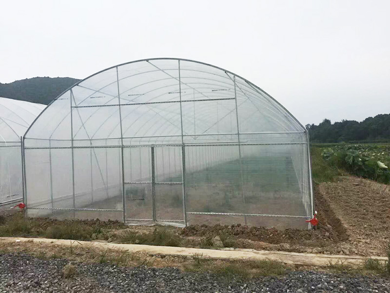 四平市薄膜大棚鱼菜共生 - 价格